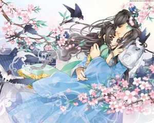 我和我的丈母娘刘念